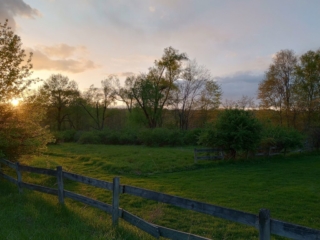 Golden hour glow, Black Creek Rd