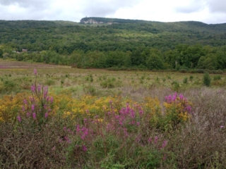 The Ridge in Early Fall, Foothills Trail