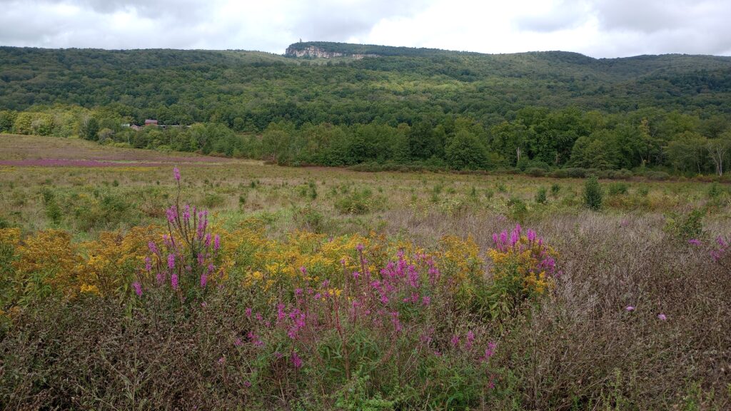 The Ridge in Early Fall, Foothills Trail