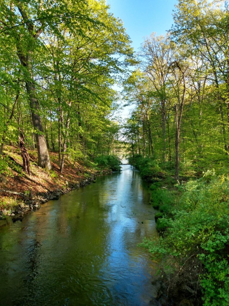 Swartekill Stream, Plutarch Rd