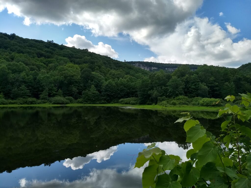 Memories of Duck Pond