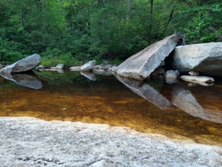 Reflections in the Peterskill