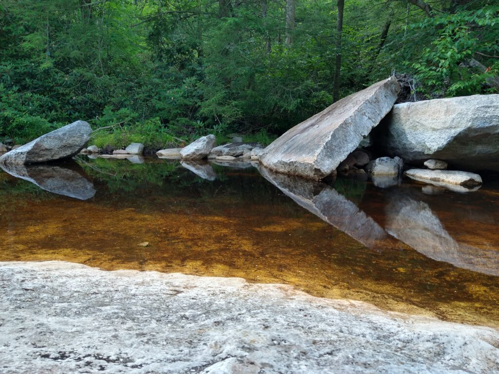 Reflections in the Peterskill
