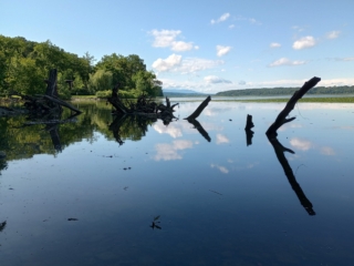 Still Summer Water on the Hudson