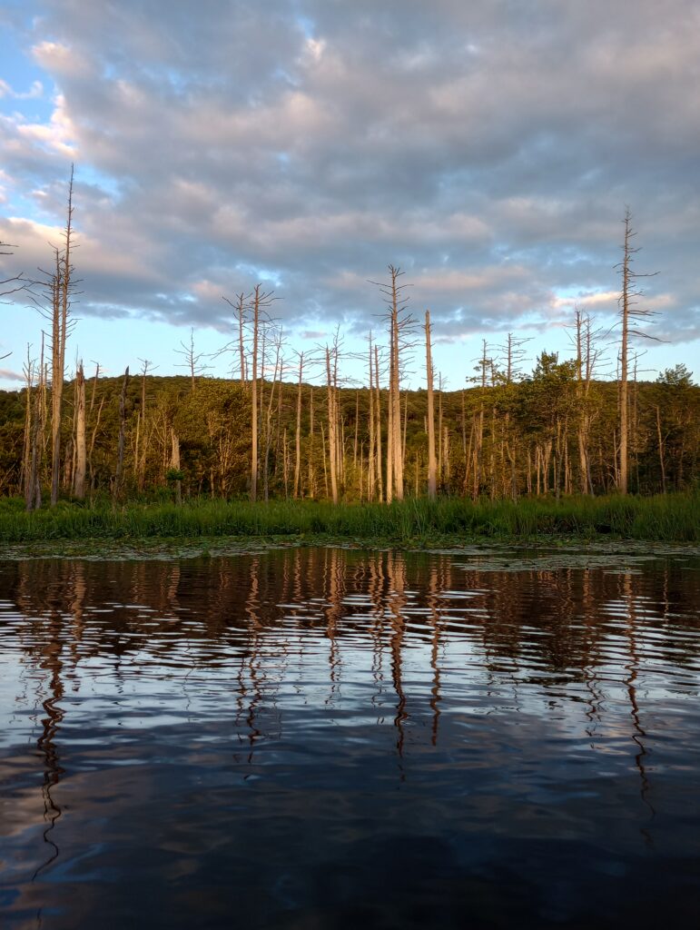 Reflections at sunset, Chodikee Lake