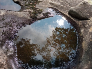 Canopy reflected in pool, Potholers ADK