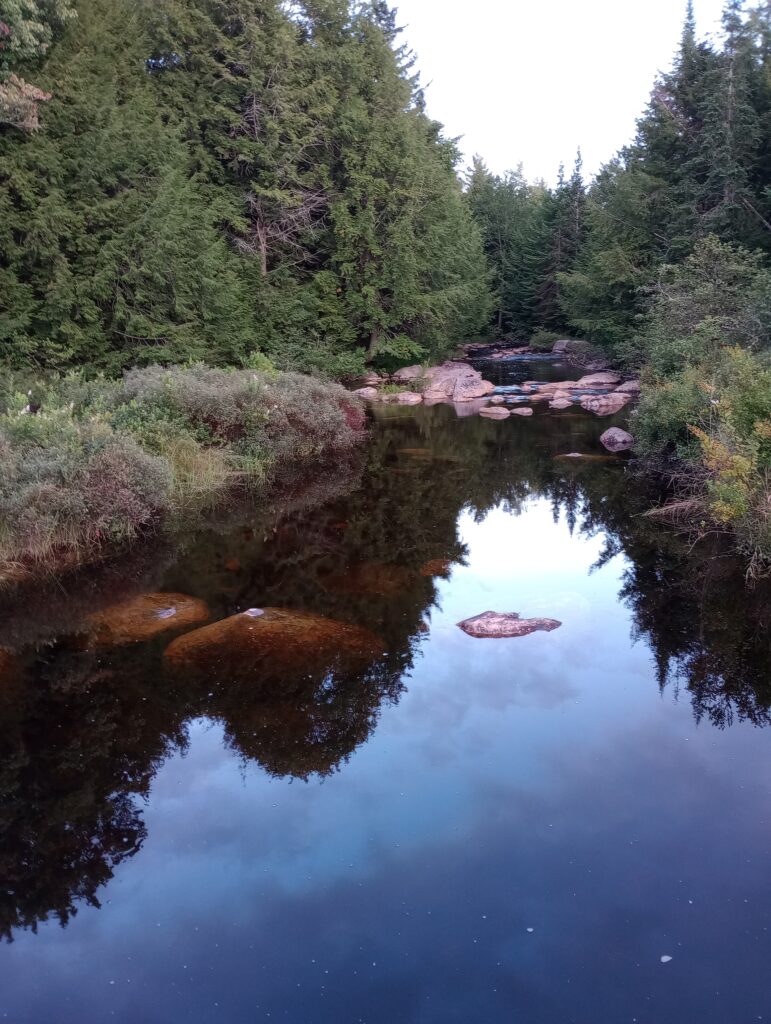 Sunset Reflections, Stratford